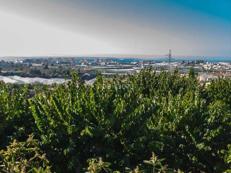 Foto 093c81c1-7b37-40b7-b03f-20d1fd5da335. Wohngrundstück in Torrox pueblo Torrox