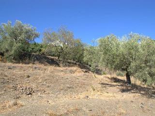 Residential Plot in Canillas de Albaida