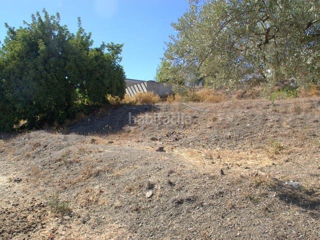 Foto 688862da-838d-432a-a7bc-2b2fe0d3e913. Terreno residenziale in Canillas de Albaida