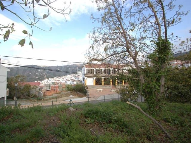 Foto d441b6a0-138d-405c-8312-8c757cae5ddc. Terreno residenziale in Canillas de Albaida