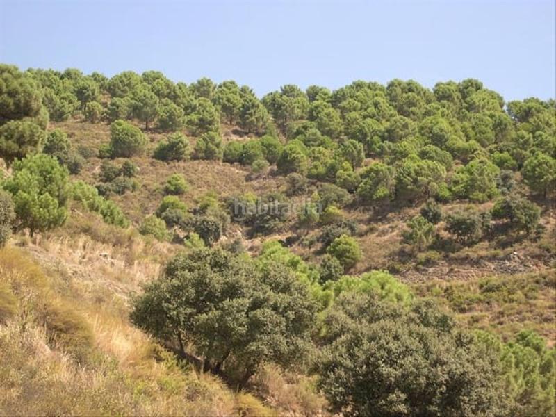 Foto 1bd8169b-25b7-4275-aa32-3f7afdd68aa3. Terreno residenziale in Sedella