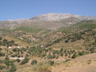 Residential Plot in Sedella
