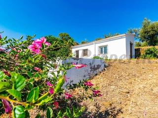 Appartement in Arenas