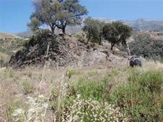 Residential Plot in Sedella
