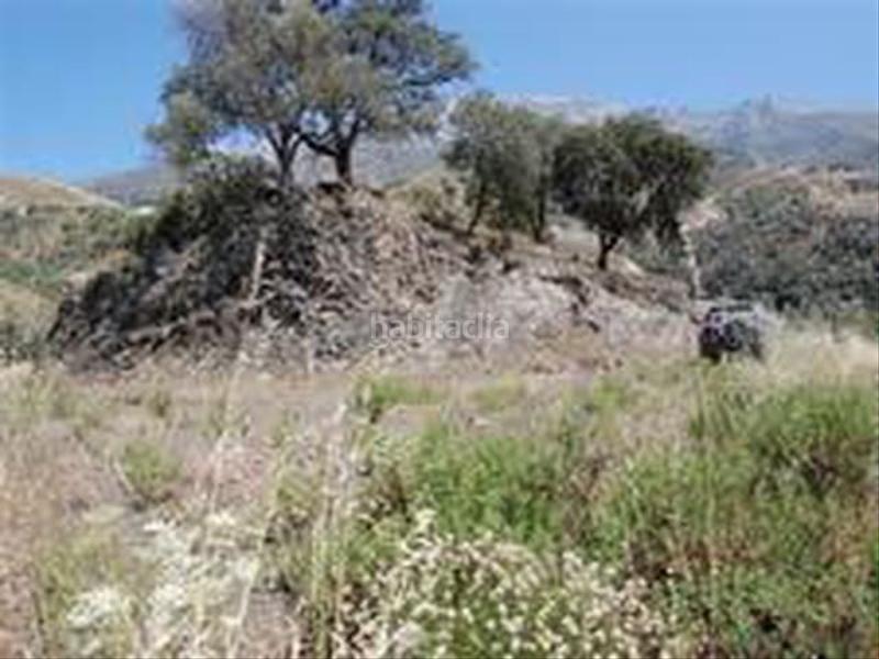 Foto 8772cad4-9a8d-43ae-aed7-e0b0504726a9. Terreno residenziale in Sedella