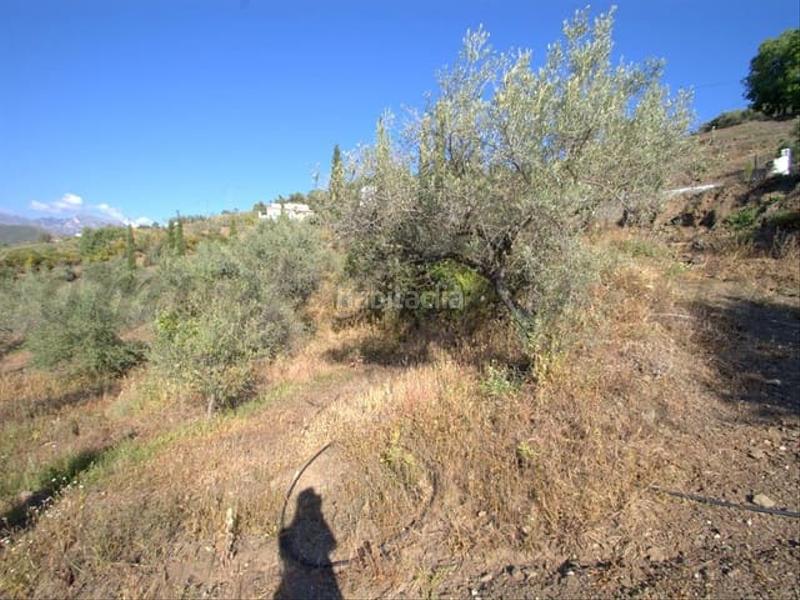 Foto eb998b92-d224-40da-a127-065b7011cdbd. Terreno residencial en Cómpeta