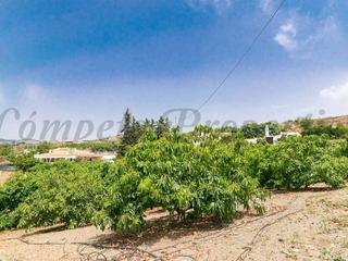 Terreny residencial a Camino Algarrobo - Las Arenas