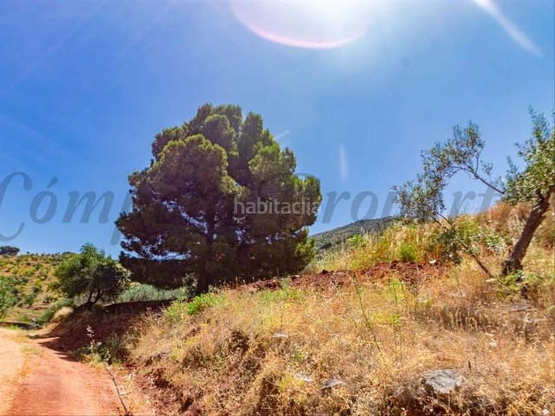 Foto 4d823509-181e-4dcc-9421-43e0e31d87e0. Terreny residencial a Ardales