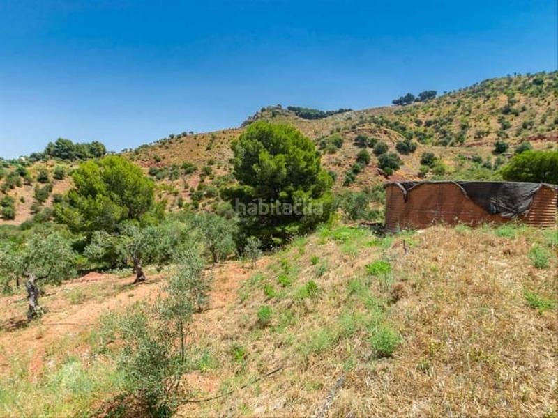 Foto f3f97219-48d7-402a-a64e-915860662e72. Terreny residencial a Ardales
