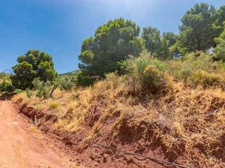 Residential Plot in Ardales