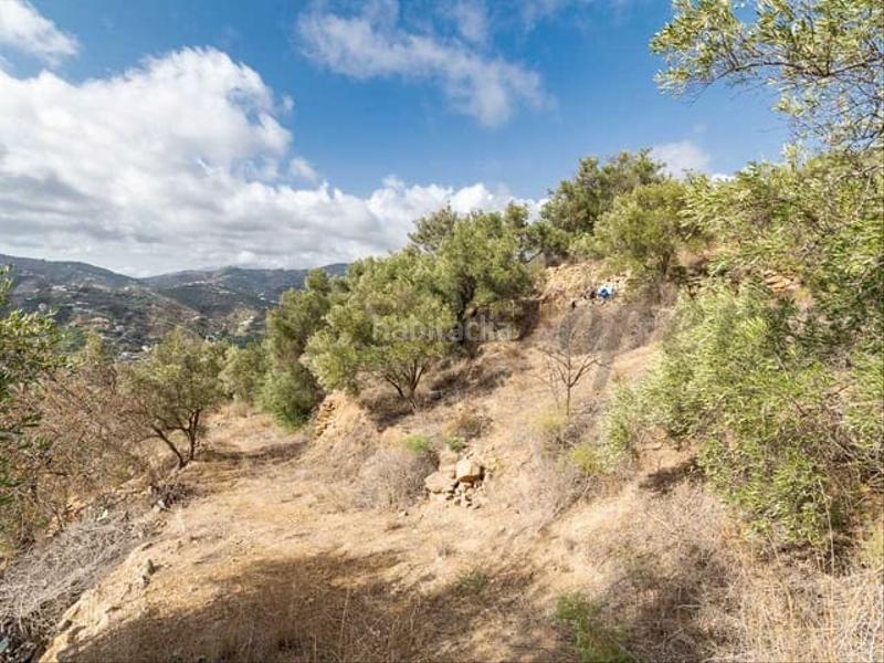 Foto f37161d2-0b02-4334-83b1-237d93549bd9. Terreno residenziale in Torrox pueblo Torrox