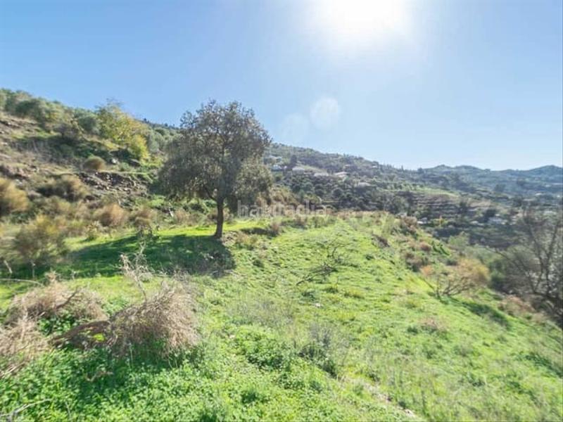 Foto 75361d5b-c8a7-4d15-9a39-fa99cd5f5669. Terreno residencial en Torrox pueblo Torrox