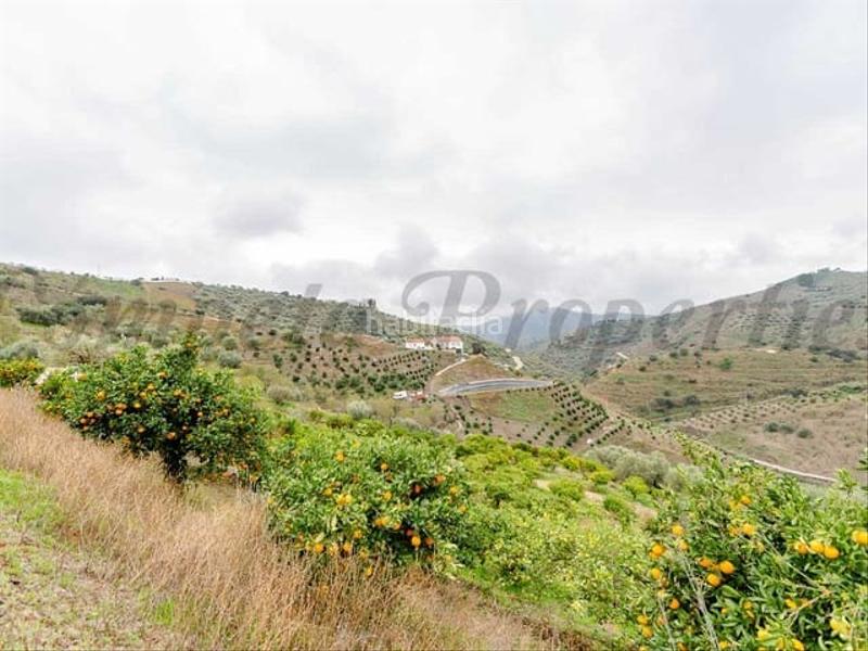 Foto 69d597d2-db60-4679-8467-1ee29b963d43. Terreno residencial en Sayalonga