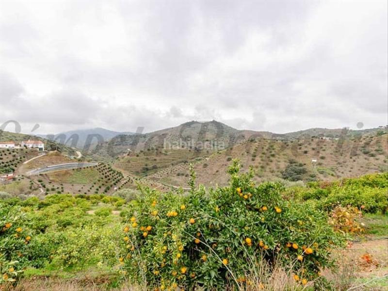 Foto b7c13430-0f4b-4b4c-a32f-db74dedee5a4. Terreno residencial en Sayalonga