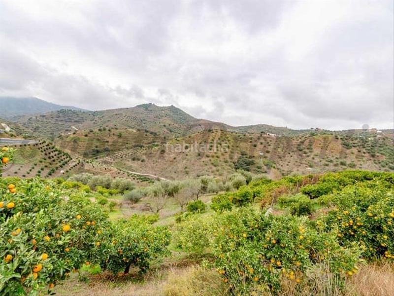 Foto ca22135a-5608-4d7c-836f-4b08426d9633. Terreno residencial en Sayalonga