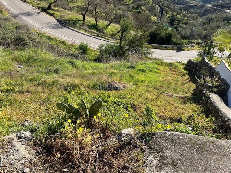 Foto e4580c7a-0ff7-4f25-ab37-5edeb6fe2d0d. Residential plot in Arenas