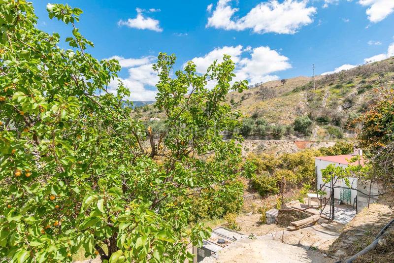 Foto 40ae9605-380f-4a48-bdcd-853b35da9903. Mas avec cheminée dans Cómpeta