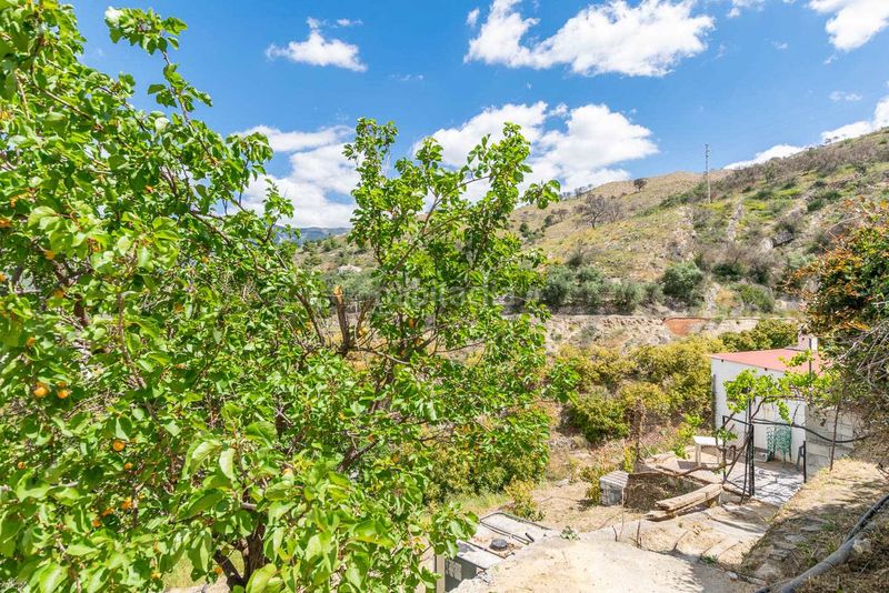 Foto 40ae9605-380f-4a48-bdcd-853b35da9903. Masía finca en Cómpeta