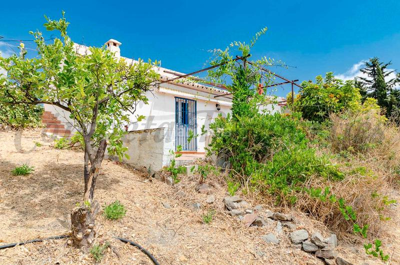 Foto 70c6867f-84d0-4968-910a-b2025d8bfa44. Masía 3 en 1: dos casas de campo habitables y una para reformar en Torrox