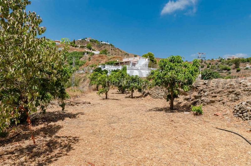 Foto b187d0eb-edfa-4ad8-93ca-c9cbe6b8f2f8. Masía 3 en 1: dos casas de campo habitables y una para reformar en Torrox