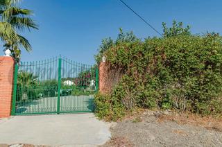Casale  Diseminado almayate alto