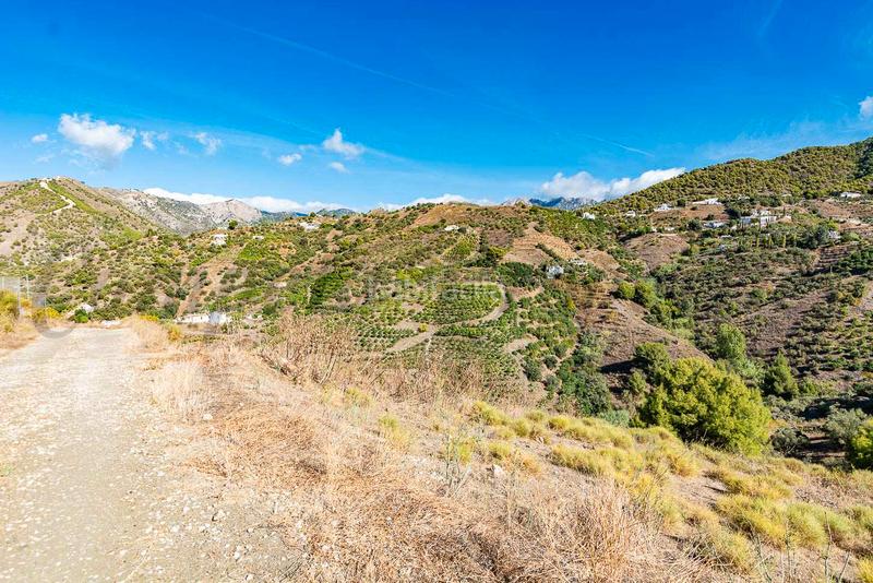 Foto 1377db51-0ad9-436d-bfc4-caf5ef5b30b4. Landgut in Torrox pueblo Torrox