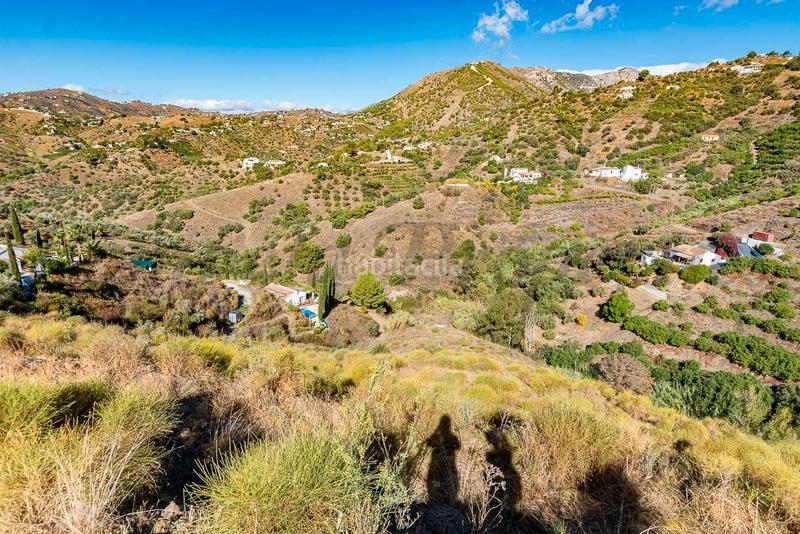 Foto 31f1bc03-2c91-4278-9863-41258373bbb8. Landgut in Torrox pueblo Torrox