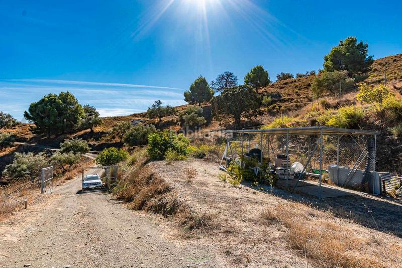 Foto 50fd89be-cd94-446c-a33b-6208eddb6dc4. Landgut in Torrox pueblo Torrox