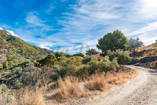 Fondo rustico in Torrox Pueblo. Oportunidad de adquirir dos parcelas rústicas en torrox