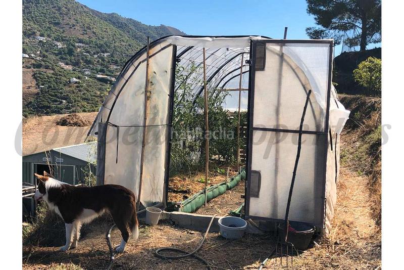 Foto fe741e23-f0b9-4a86-a510-c68f10e9138a. Landgut in Torrox pueblo Torrox