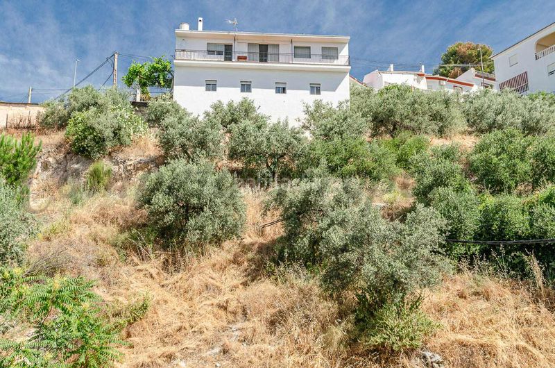 Foto 02a48711-8d04-48d2-b5a7-ea2e8b98089e. Casa amb xemeneia aparcament a Cómpeta