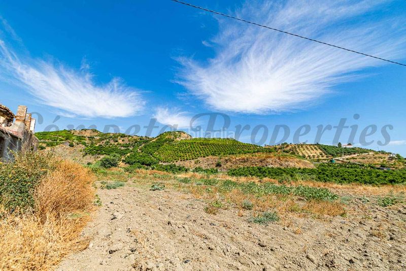Foto 5bf19291-a324-4f1d-8c6e-fa217c8d4ce7. Finca rústica a Algarrobo pueblo Algarrobo
