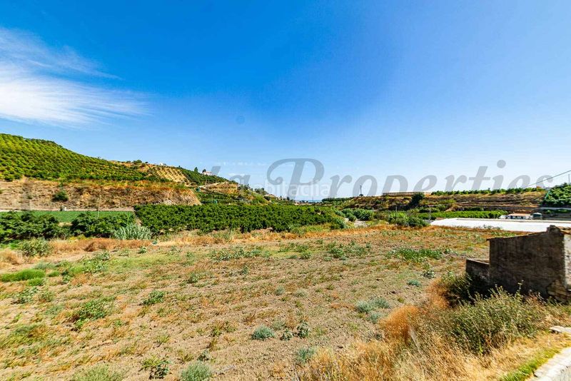 Foto 5e738ea4-e69b-4207-8f32-6c117ddb0a22. Finca rústica a Algarrobo pueblo Algarrobo