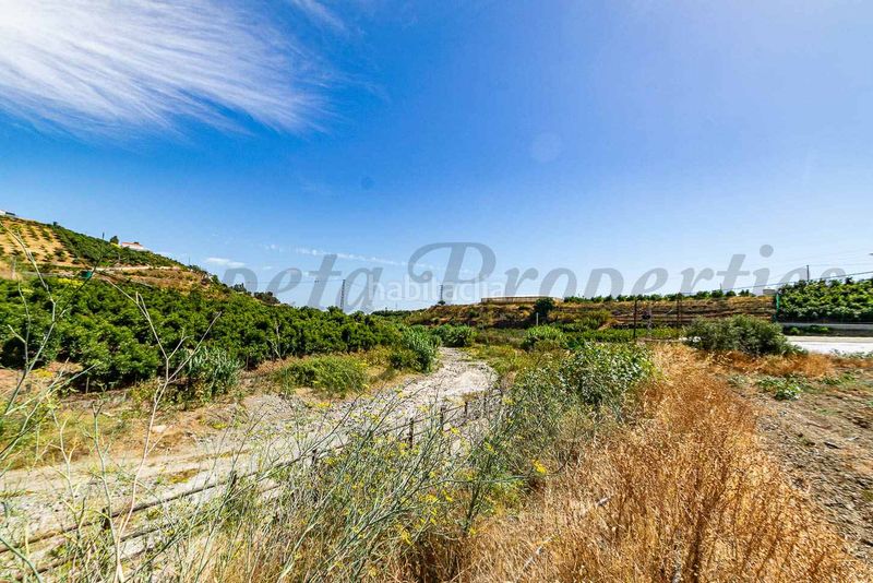 Foto 865a3b27-1aa0-4c3a-89bc-e07530a9f66e. Finca rústica a Algarrobo pueblo Algarrobo