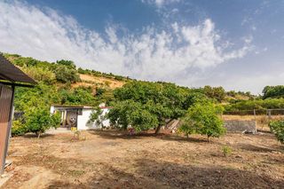 Finca rústica en Avda Pescia - Ctra de Frigiliana. Parcela rústica con árboles frutales y construcción a pocos minu