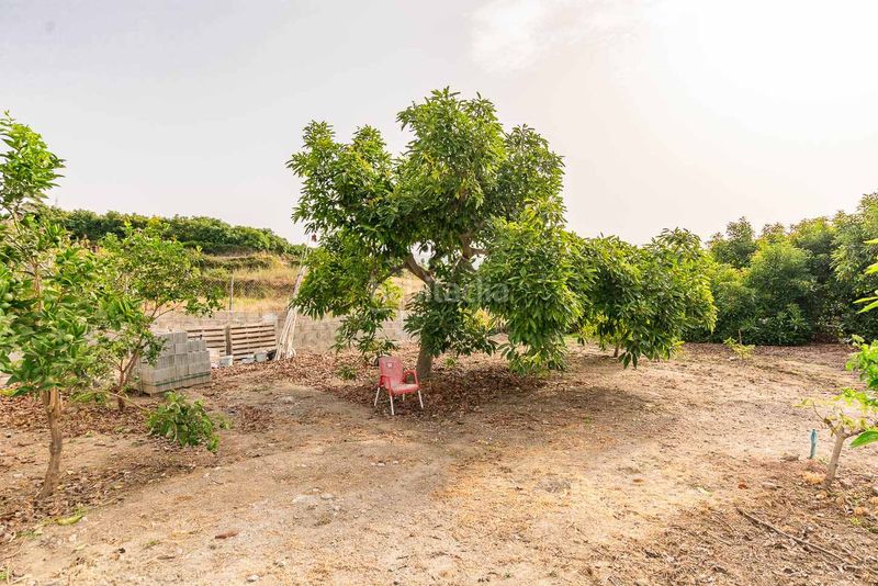 Foto 569bcdf0-4ce4-4a2c-9c5e-2794e73b8de4. Finca rústica a Avda Pescia - Ctra de Frigiliana Nerja