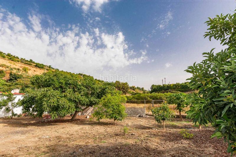 Foto 5d6b5a61-7eef-4d65-862b-a5e947122ef7. Finca rústica a Avda Pescia - Ctra de Frigiliana Nerja