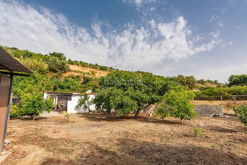 Foto e8e4cb91-2907-470d-8733-4f3d488dca23. Finca rústica a Avda Pescia - Ctra de Frigiliana Nerja