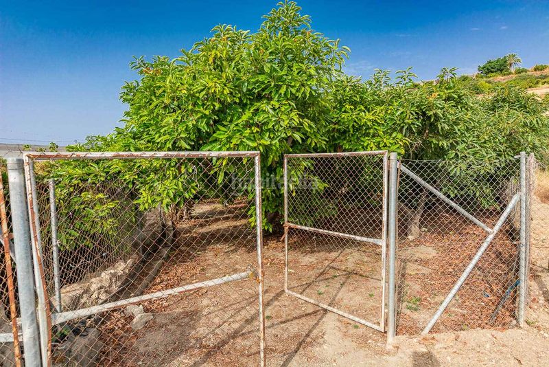 Foto ee7a590d-890c-4f27-a008-441e2ce7a825. Finca rústica a Avda Pescia - Ctra de Frigiliana Nerja