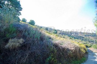 Finca rústica a Torrox Pueblo