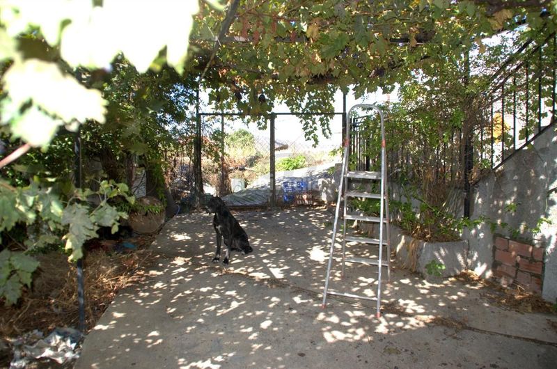Foto fd288087-aa85-45bc-b5d5-c5db5732660b. Casa  pueblo en Cómpeta