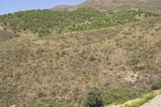 Finca rústica a Sedella