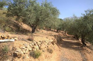 Finca rústica en Sedella