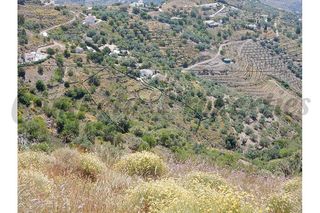 Fondo rustico in Sayalonga