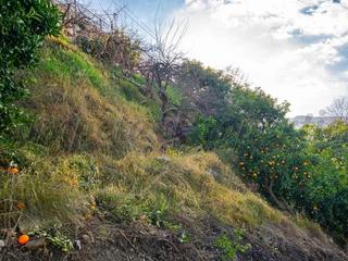 Residential Plot in Canillas de Albaida