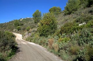 Finca rústica en Cómpeta