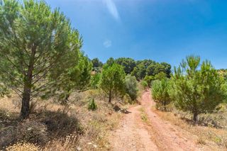 Finca rústica a Ardales. Parcela rústica en ardales