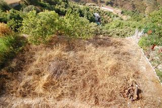 Fondo rustico in Salares