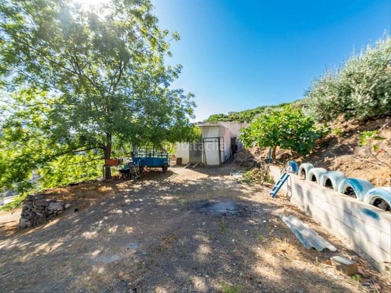 Foto 9daae48e-4461-4a15-bd53-b19966aadeac. Terreny residencial a Torrox pueblo Torrox
