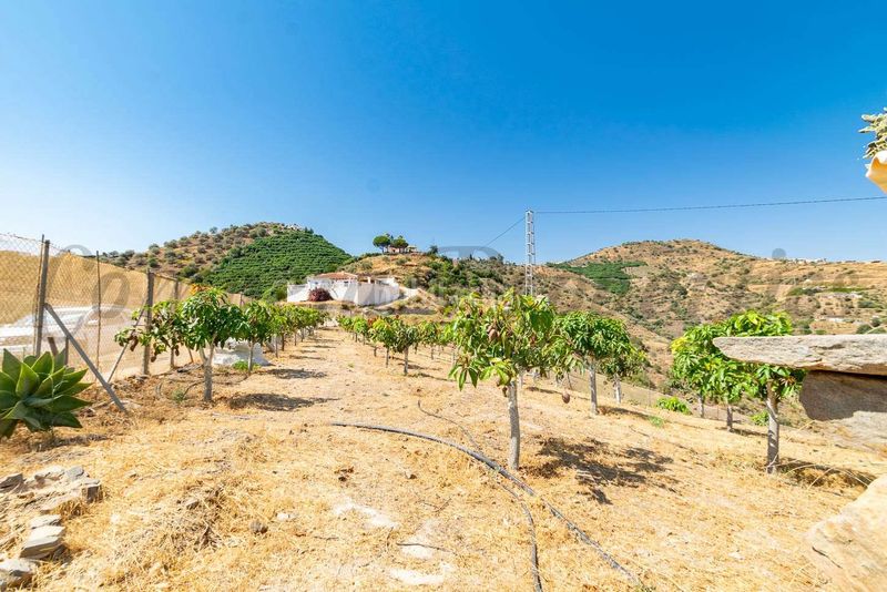 Foto fea0b5e8-08cc-4302-8185-4163a7495f55. Haus mit parking pool in Torrox pueblo Torrox